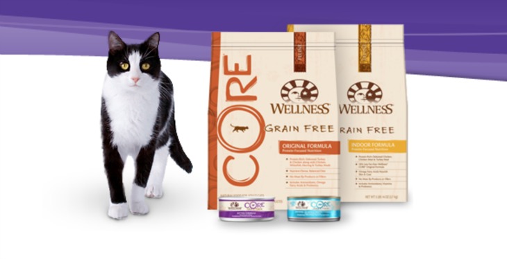 Grain-Free Kitty Treats: Wellness Natural Pet Food Creates Healthy Low Calorie Cat Snacks