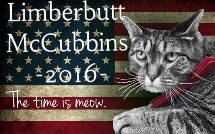 Limberbutt McCubbins Enters 2016 Presidential Race – And He’s A Cat!
