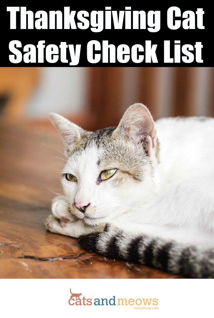 Thanksgiving Cat safety Check List – Keep Your Pets Safe During The Holidays!