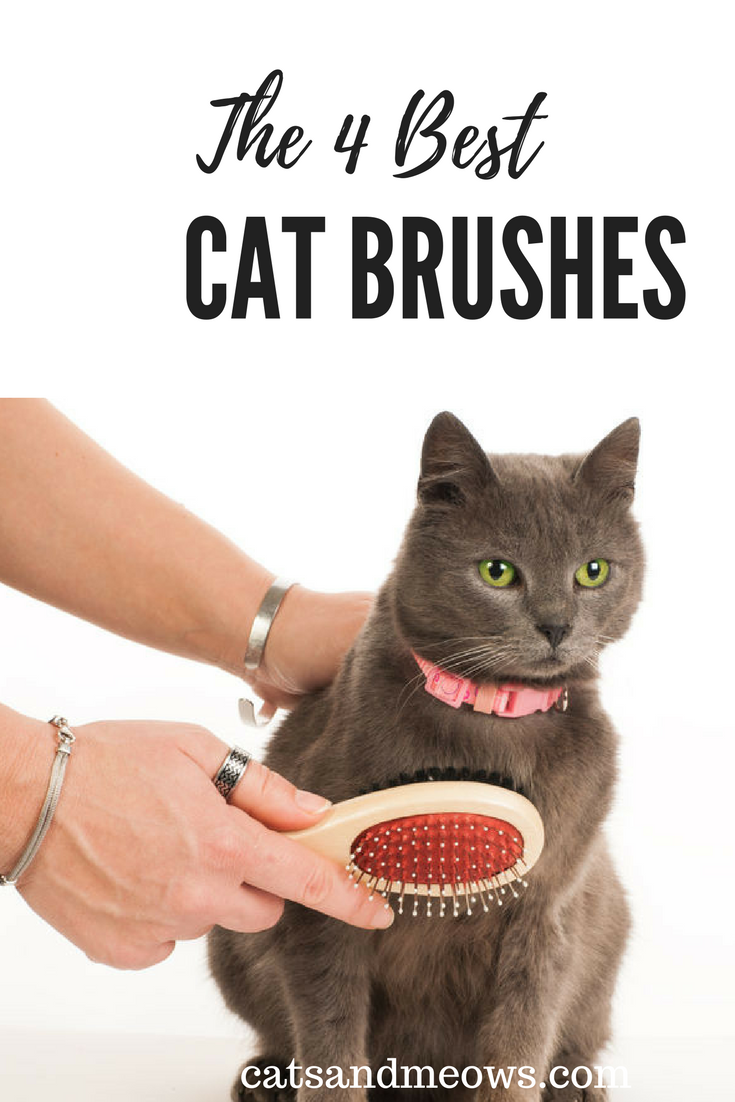 The 4 Best Cat Brushes