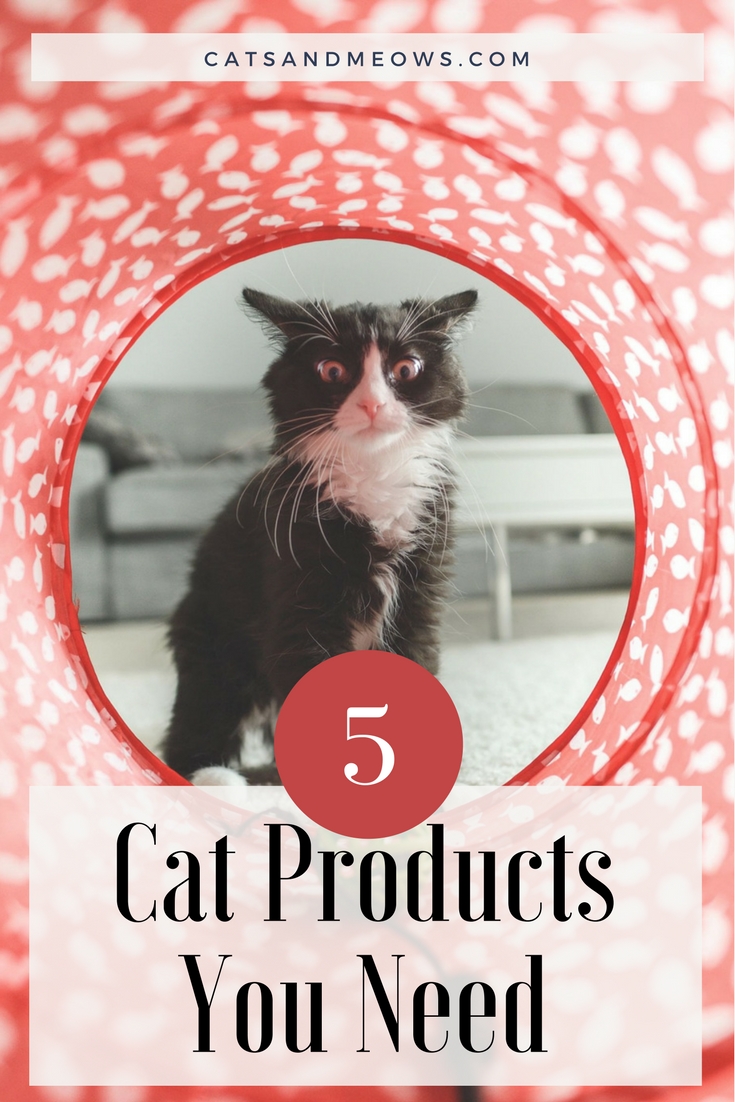 5 Cat Products You Need