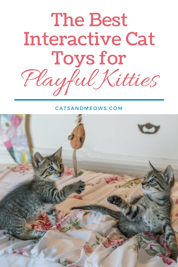 The Best Interactive Cat Toys for Playful Kitties