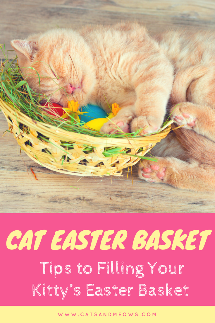 Cat Easter Basket: Ideas For Filling Your Kitty's Basket