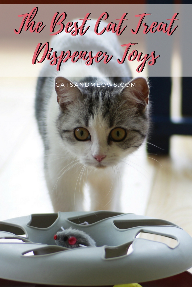 The Best Cat Treat Dispenser Toys
