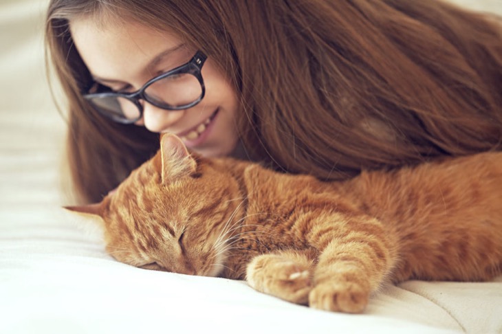 37827229 – cute ginger cat sleeps near kid girl on the sofa