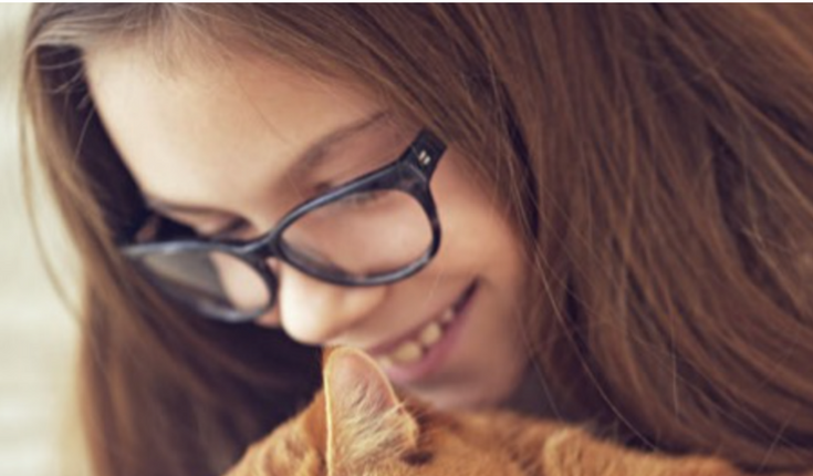 Cat owner less likely die of stroke