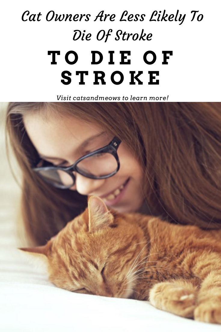 Cat Owners Are Less Likely To Die Of Stroke, Or Other Heart Related Diseases!