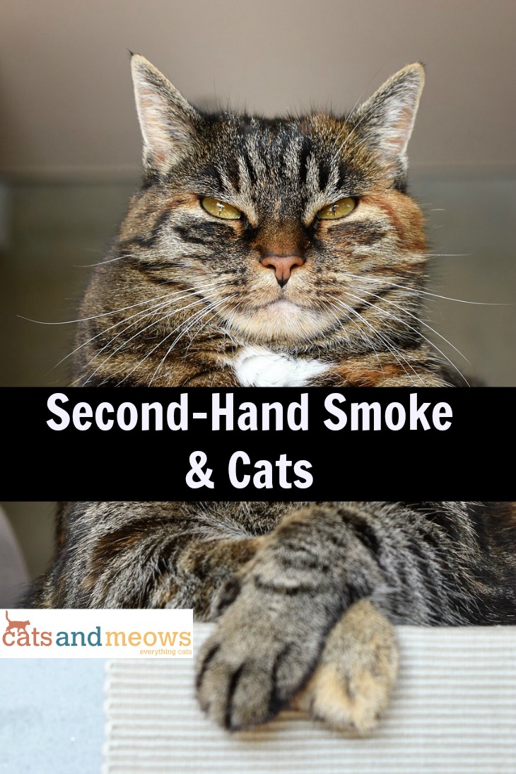 vats-and-second-hand-smoke