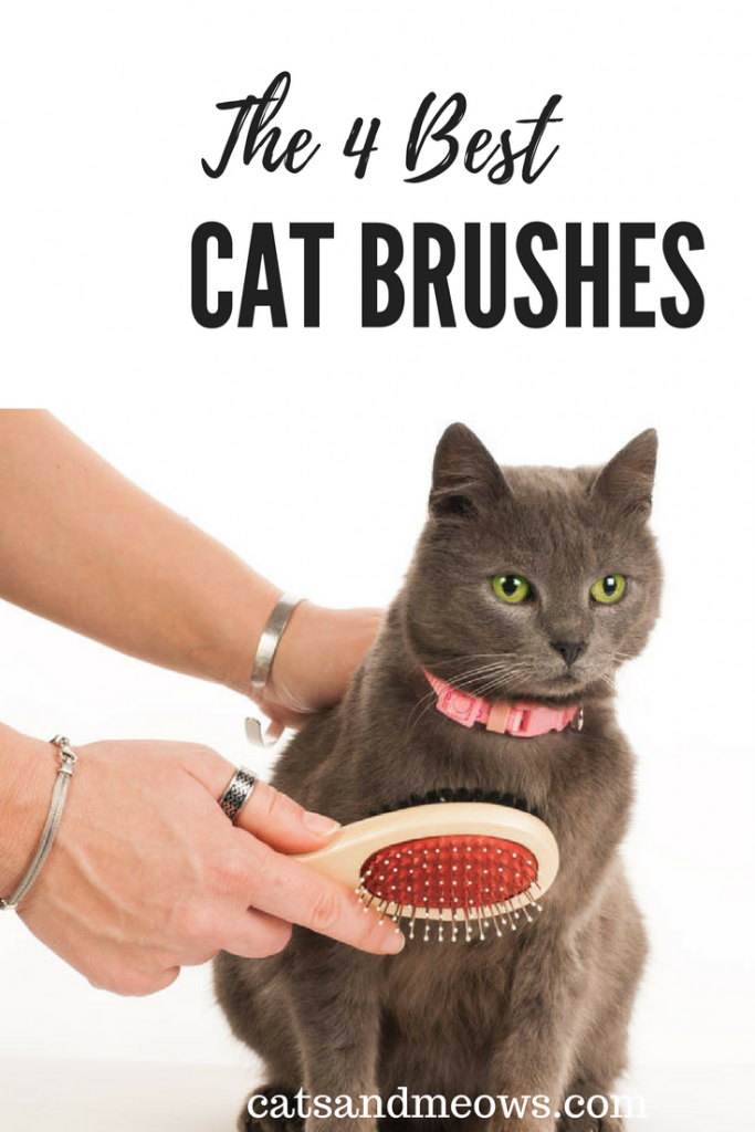 best cat brush for persian cats