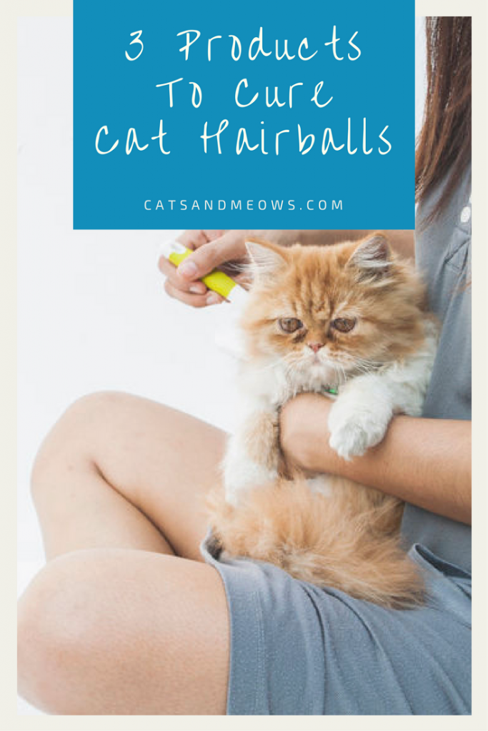 The 3 Best Products for Curing Cat Hairballs Cats and Meows