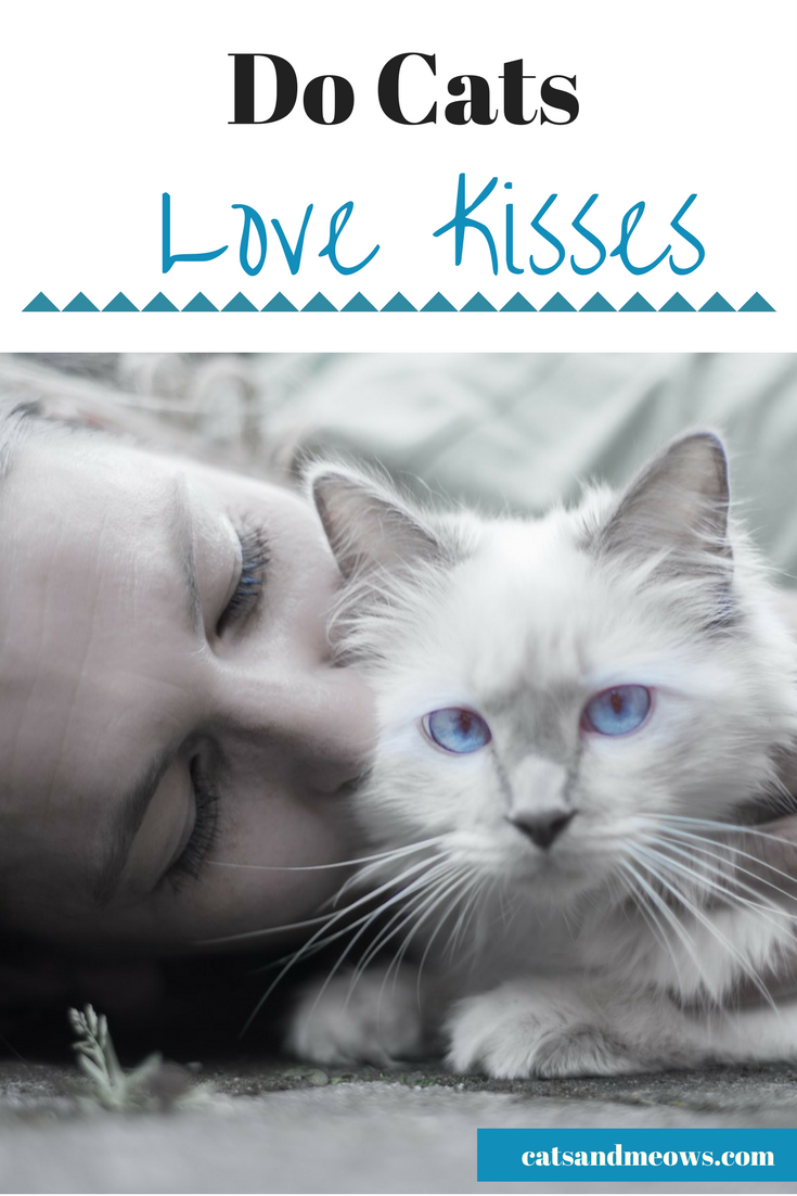 Do-cats-love-kisses-2
