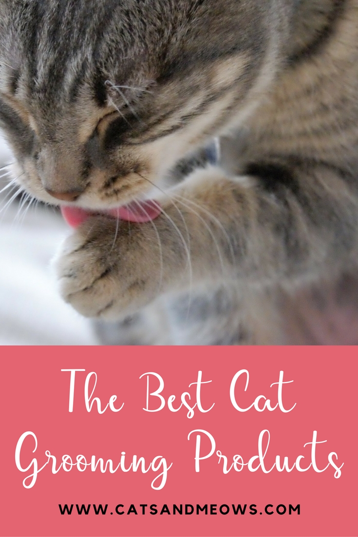 CAM – The Best Cat Grooming Products