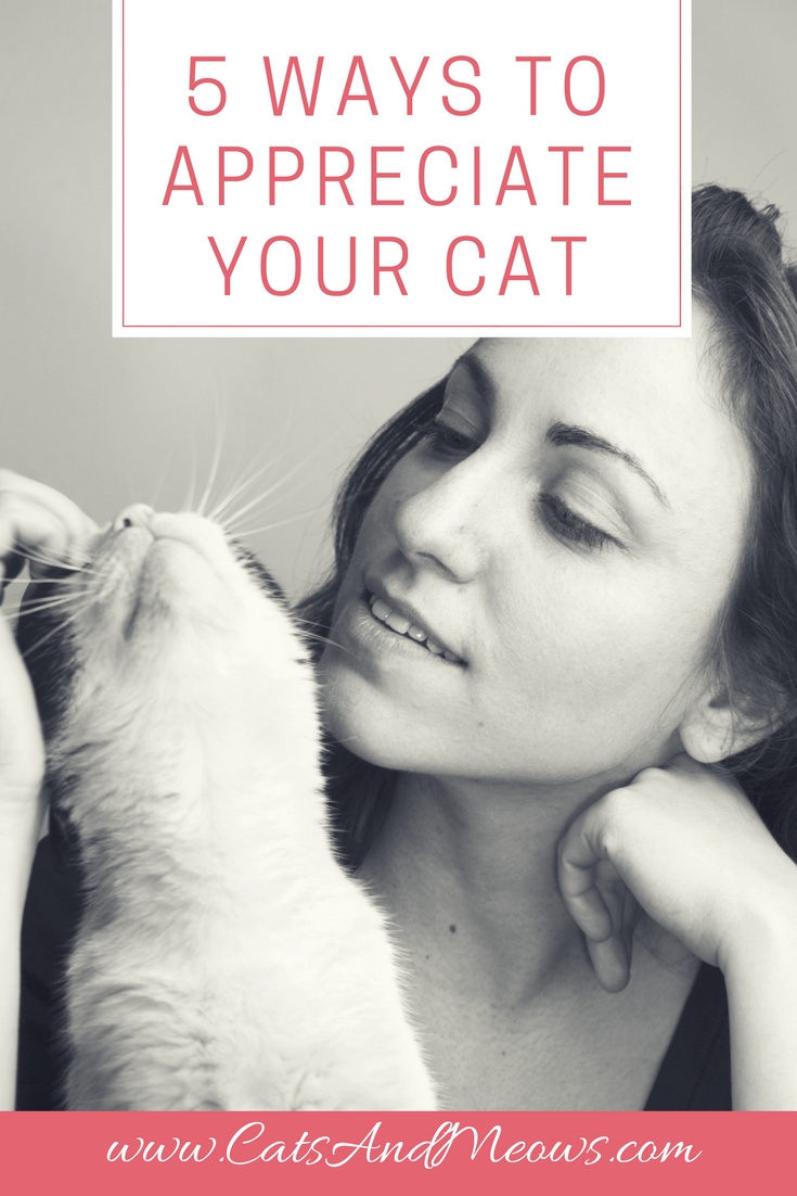 CAM – 5 Ways To Appreciate Your Cat