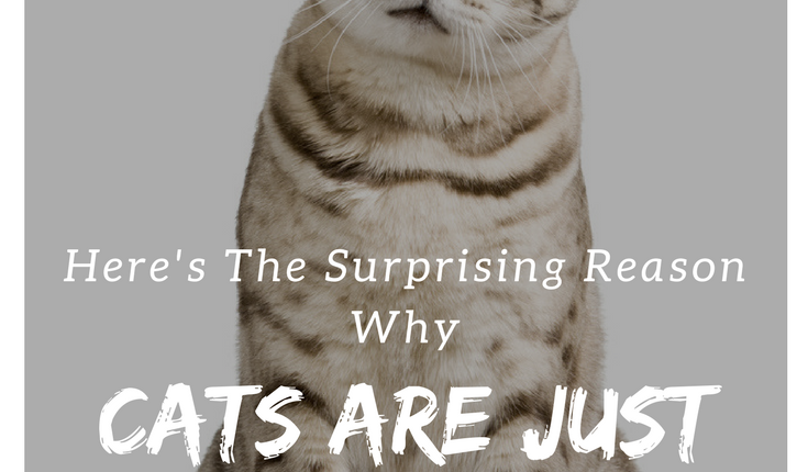 Here’s The Surprising Reason Why