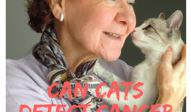 Can Cats Detect Cancer or Other Illnesses?