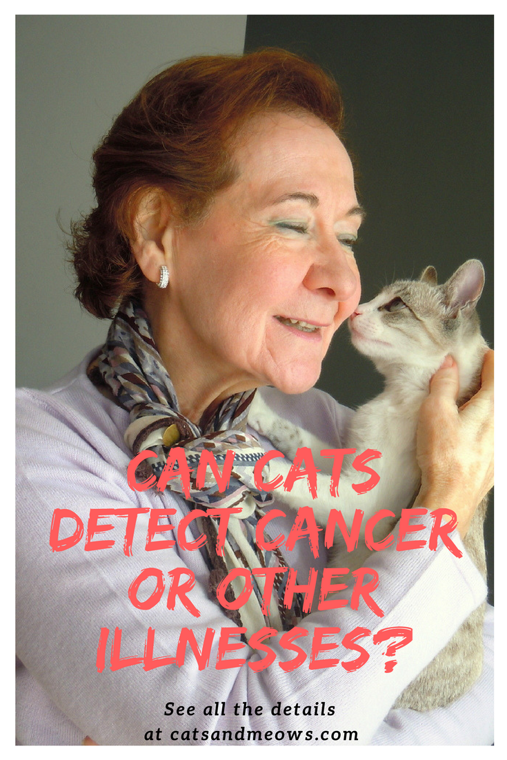 Can Cats Detect Cancer or Other Illnesses?