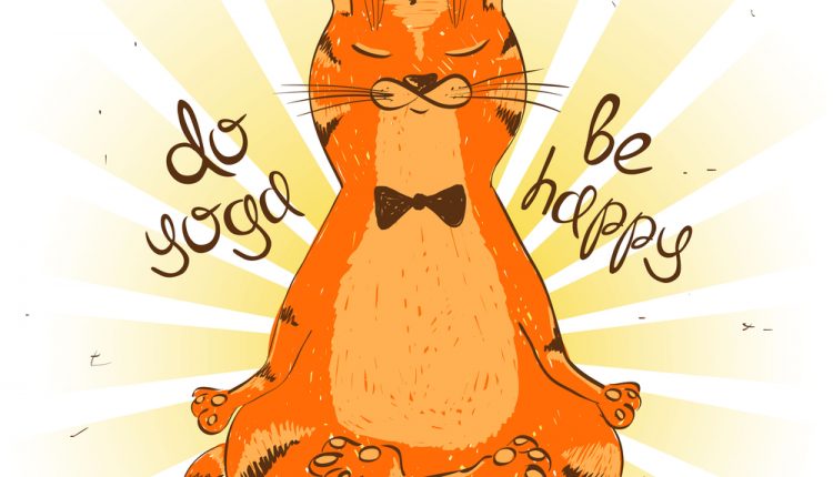 Cartoon red cat sitting on lotus position of yoga.