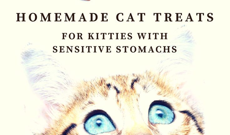 homemade cat treats