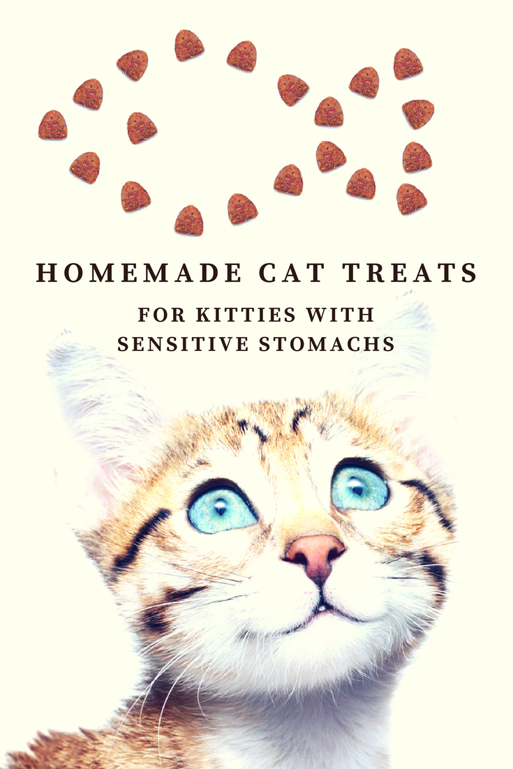 Homemade Cat Treats for Kitties With Sensitive Stomachs - RECIPE