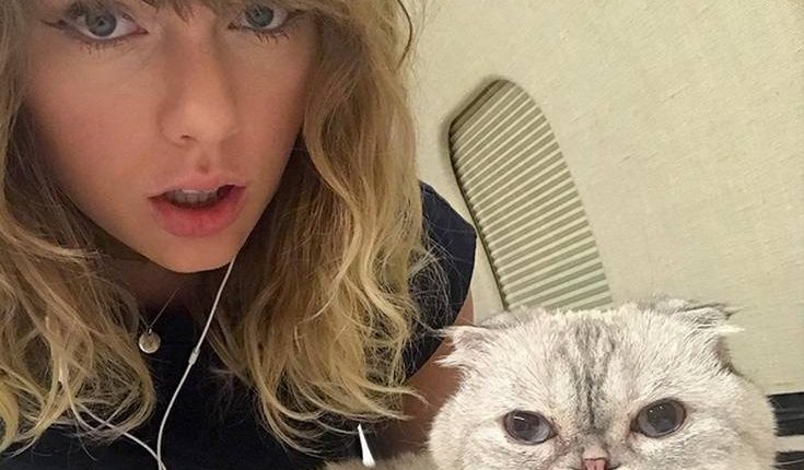taylor swift and cat photo