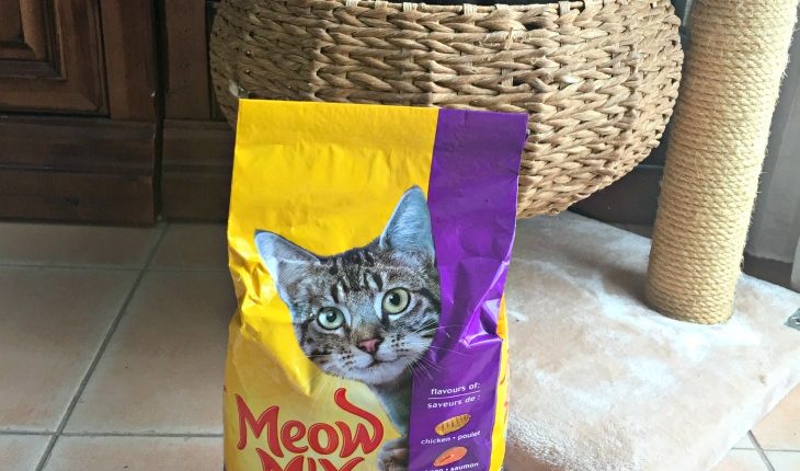 Meow-mis-1