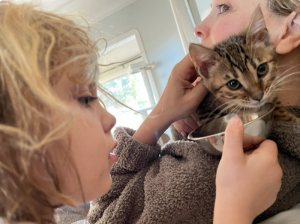 General Hospital Spoilers: Lisa LoCicero Has a New Kitten With a Curious Name