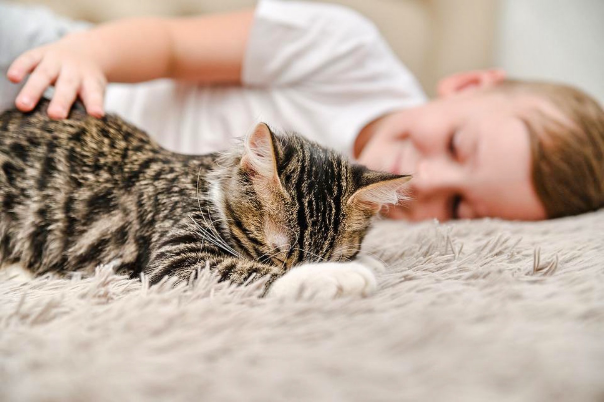 A Pet Cat May be Beneficial for Kids with Autism Spectrum Disorder