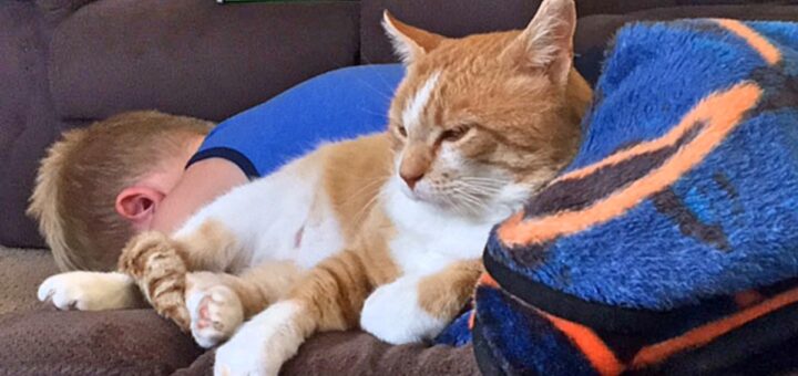 A Pet Cat May be Beneficial for Kids with Autism Spectrum Disorder