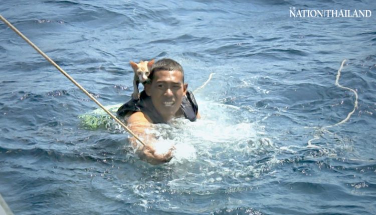 thai-navy-sailor-rescuing-cat-from-burning-ship