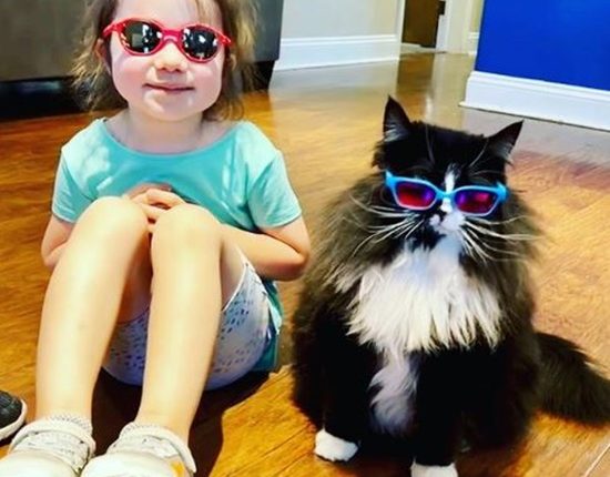 Rescued Cat Truffles Becomes An Ambassador With Tricks