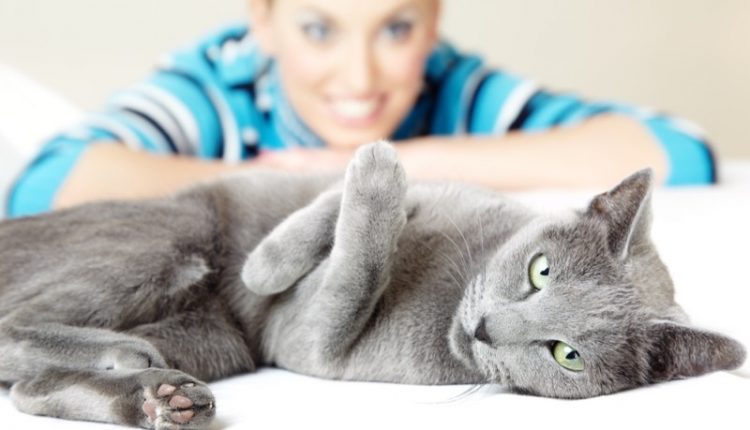 Cat and woman